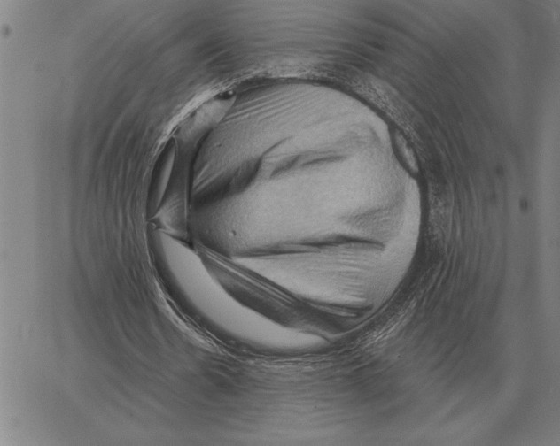 X0000066090530200604071759