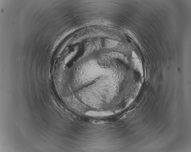 X0000066090531200604071759