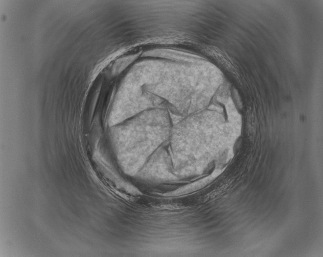 X0000066090536200604071759