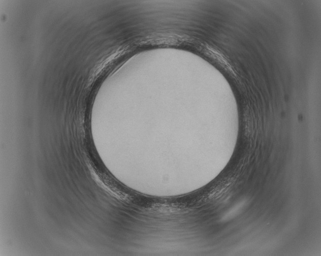 X0000066090538200604071759