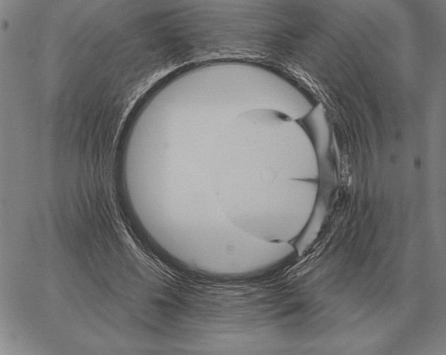 X0000066090540200604071759