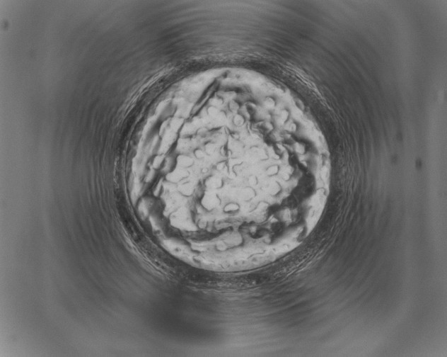 X0000066090542200604071759