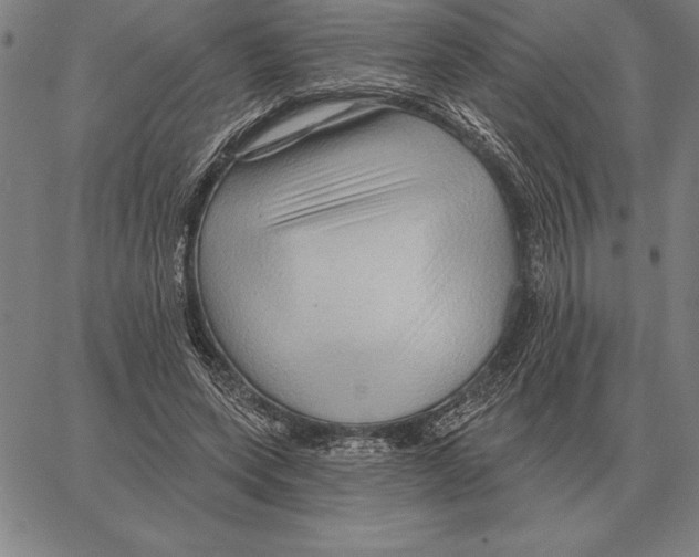 X0000066090543200604071759