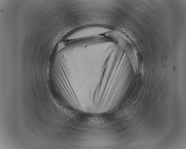 X0000066090544200604071759