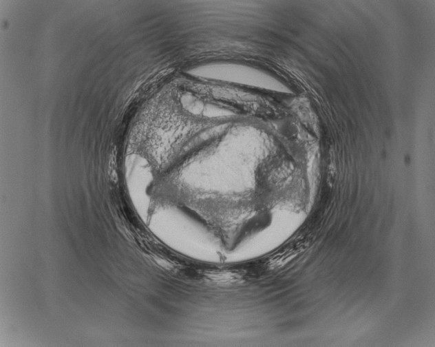 X0000066090547200604071759