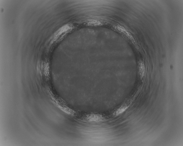 X0000066090549200604071759