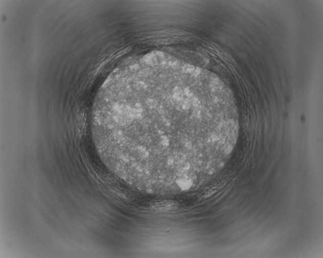 X0000066090551200604071759
