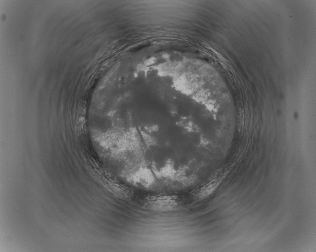X0000066090553200604071759