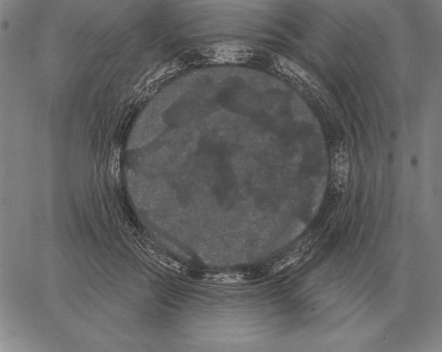 X0000066090554200604071759