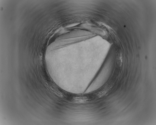 X0000066090556200604071759