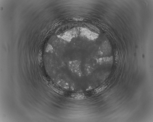 X0000066090559200604071759