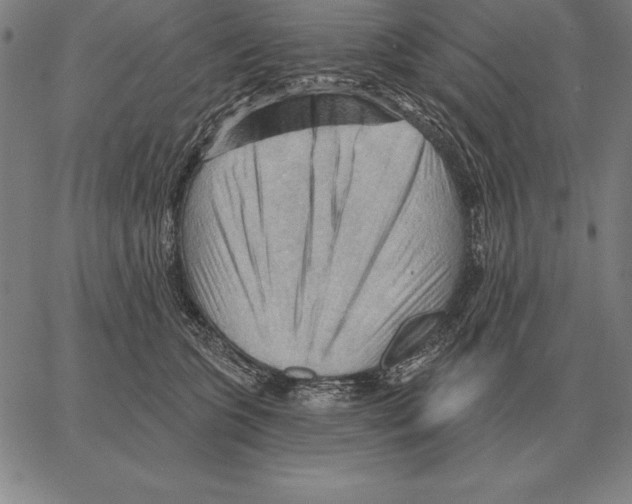 X0000066090563200604071759