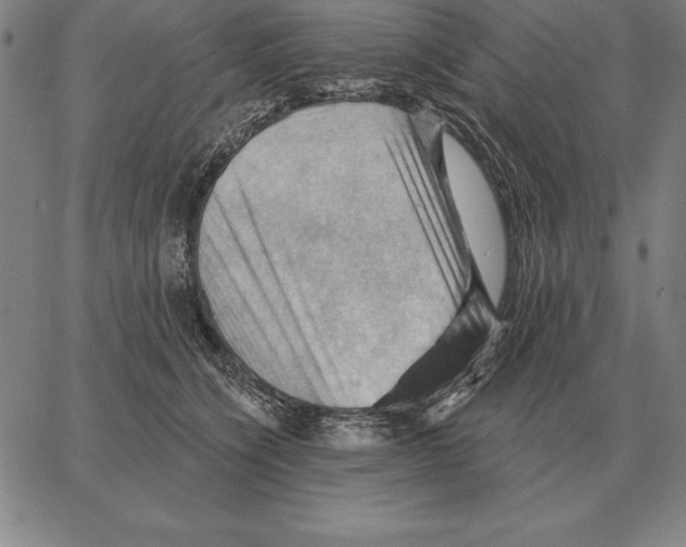 X0000066090564200604071759