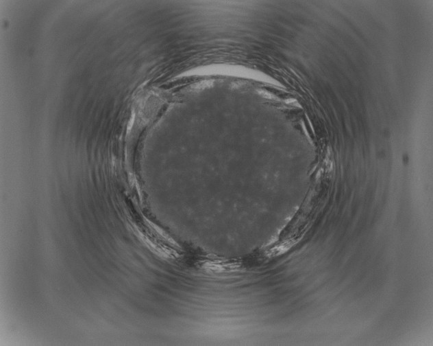 X0000066090568200604071800