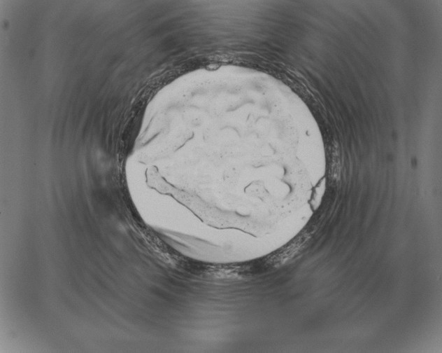 X0000066090569200604071800