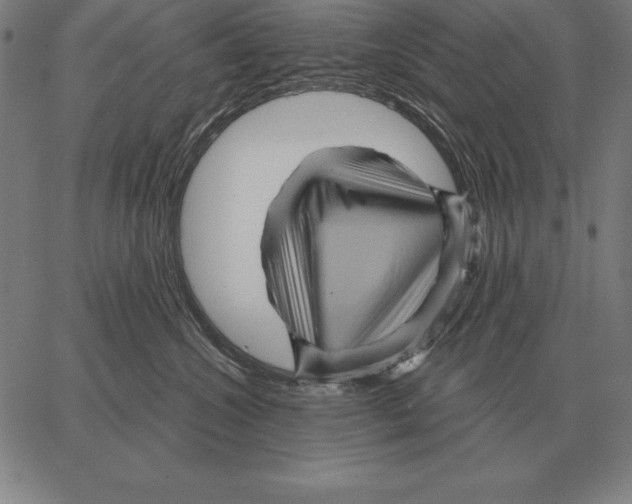 X0000066090572200604071800