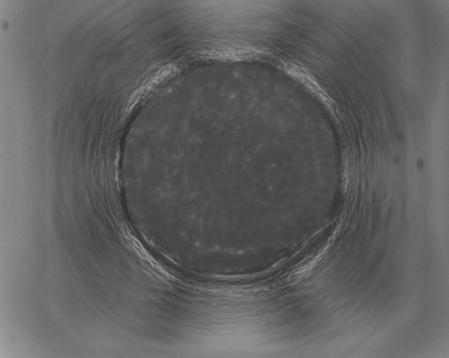 X0000066090585200604071759