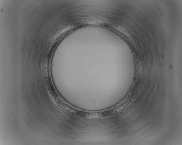 X0000066090587200604071759