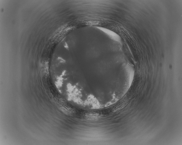 X0000066090598200604071759