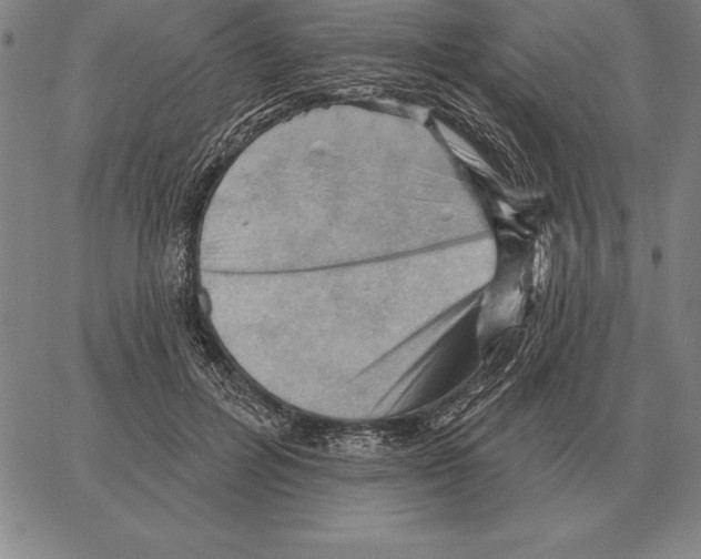 X0000066090600200604071759
