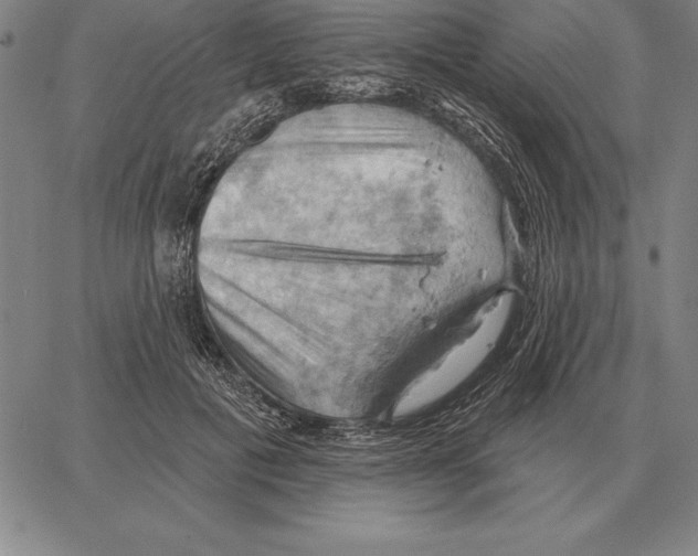 X0000066090601200604071758