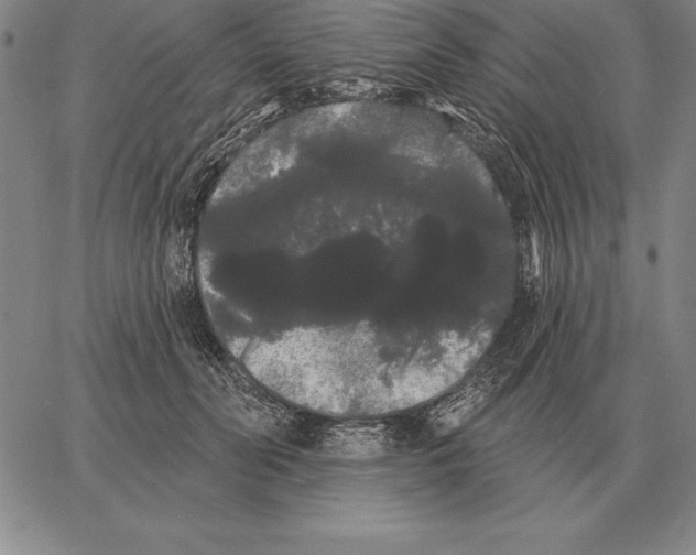 X0000066090606200604071758
