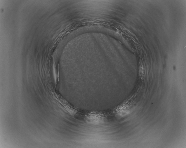 X0000066090608200604071758