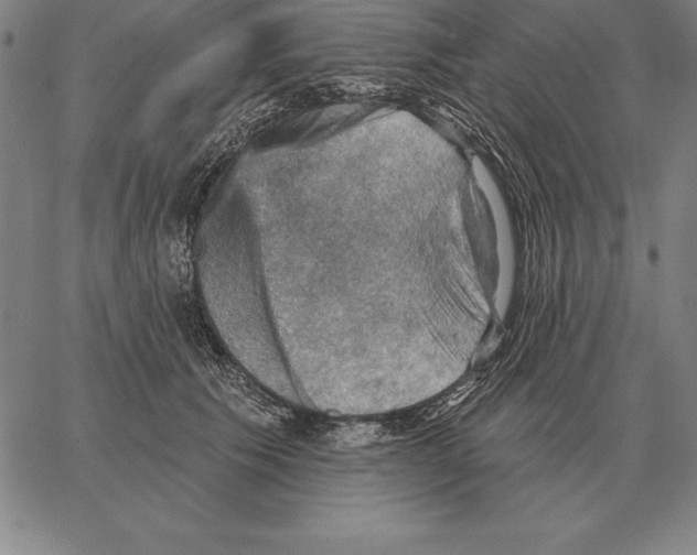 X0000066090609200604071758