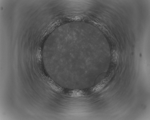 X0000066090612200604071758