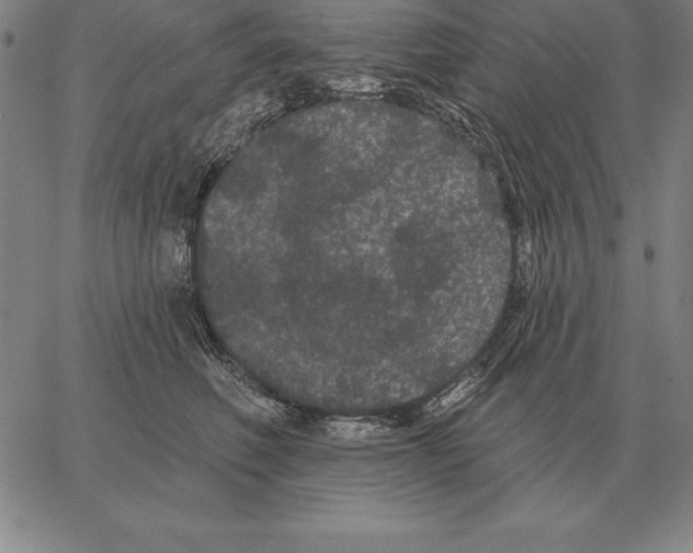 X0000066090614200604071758