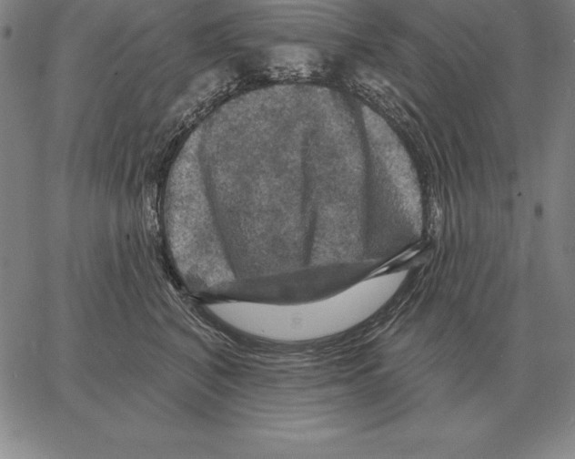 X0000066090616200604071758