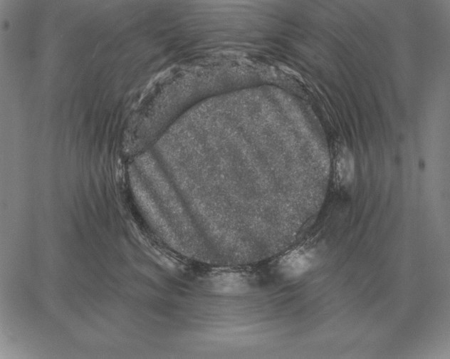 X0000066090620200604071758