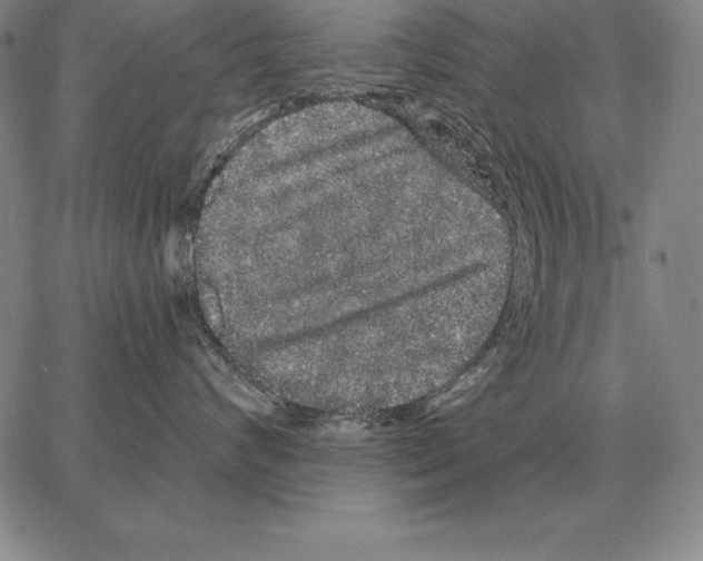 X0000066090624200604071758