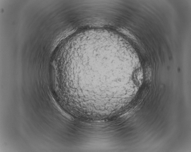 X0000066090638200604071758