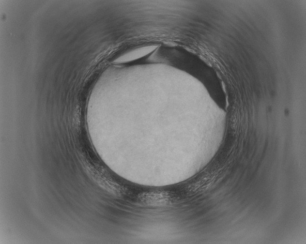 X0000066090639200604071758