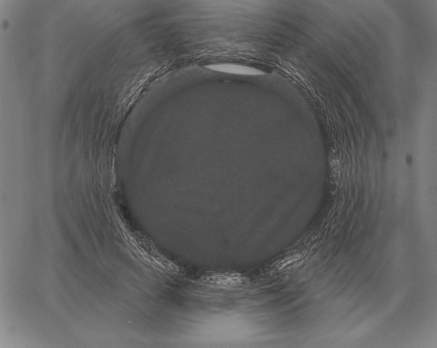 X0000066090642200604071758