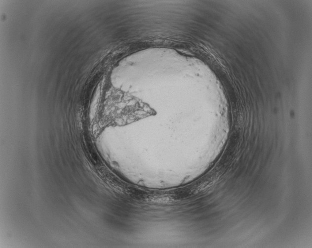 X0000066090643200604071758