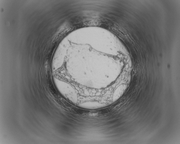 X0000066090647200604071758