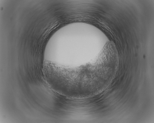 X0000066090652200604071758