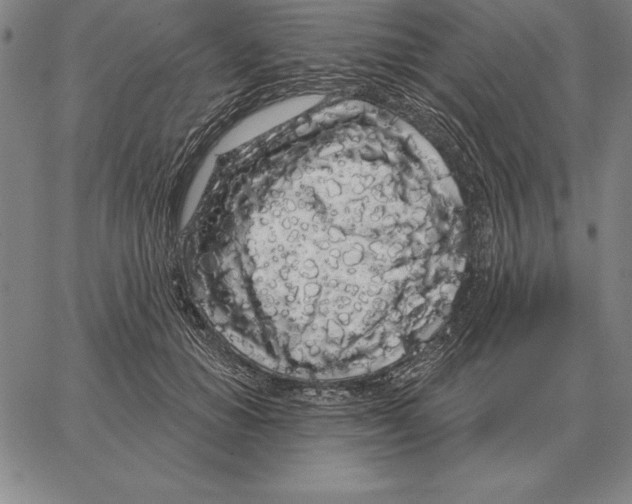 X0000066090654200604071758