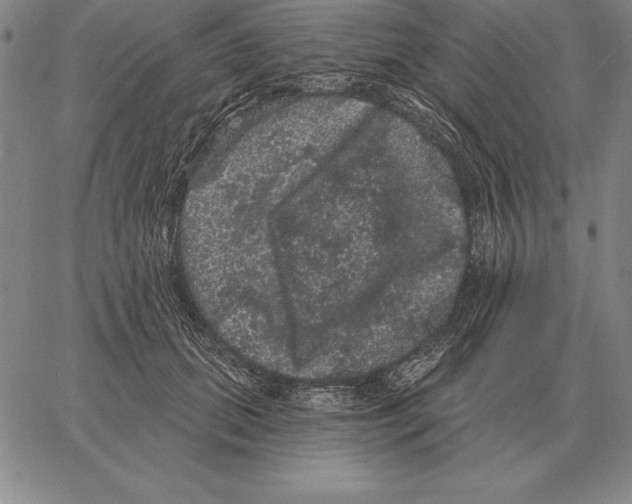 X0000066090655200604071758