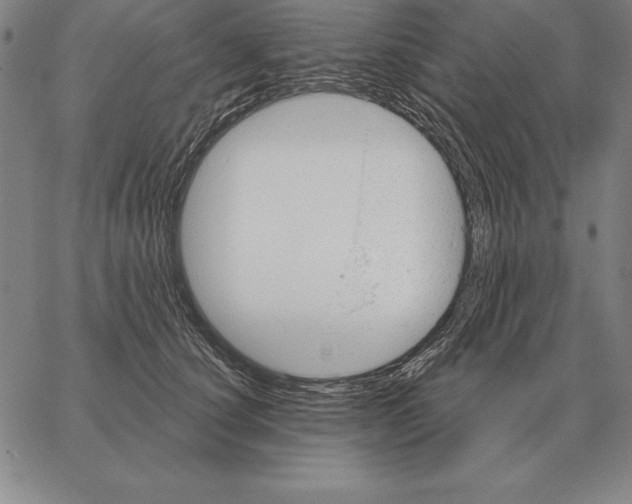 X0000066090660200604071758