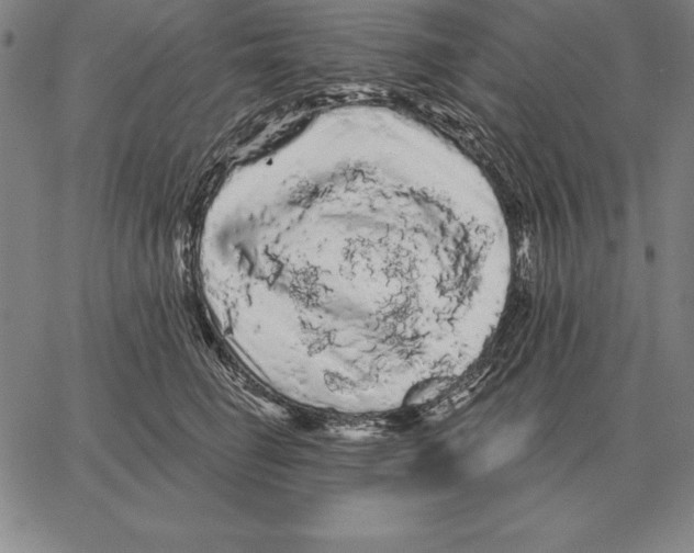 X0000066090662200604071758