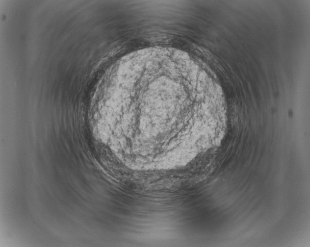 X0000066090664200604071758