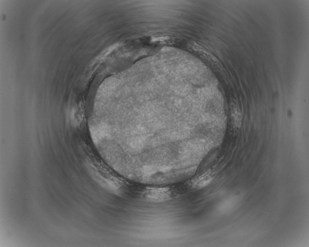 X0000066090665200604071758