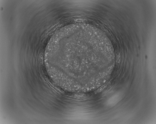 X0000066090666200604071758