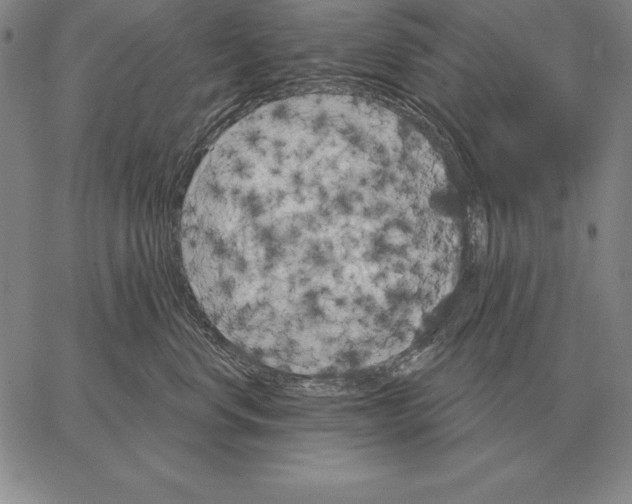 X0000066090668200604071758