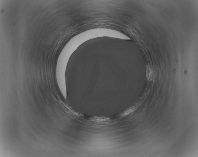 X0000066090670200604071758