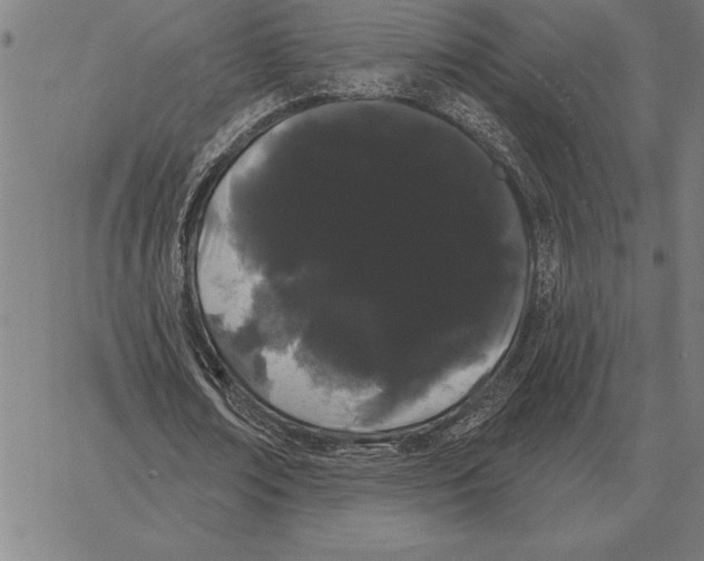 X0000066090674200604071757