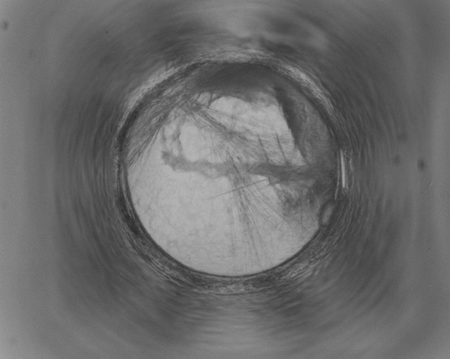 X0000066090675200604071757